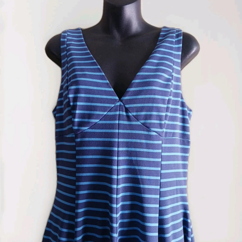 Peter Som Blue Stripe Sleeveless Fit and Flare Dress Size 10